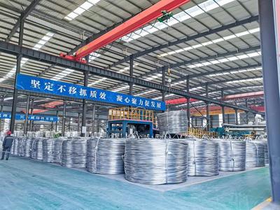 2024第九屆電工材料產(chǎn)業(yè)年會(huì) 洞見(jiàn)金屬材料銷(xiāo)售新機(jī)遇，共筑產(chǎn)業(yè)升級(jí)新篇章